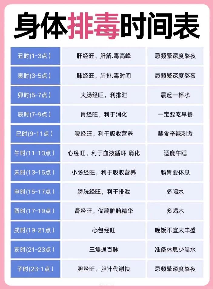 身体排毒的时间表