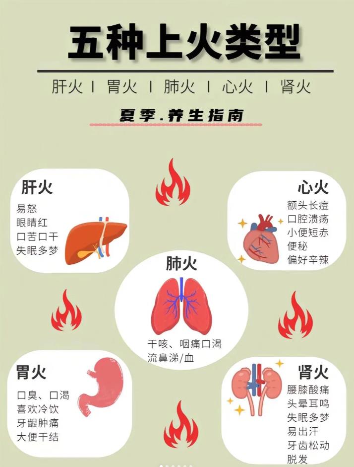夏季易上火，五脏上火饮食调整攻略